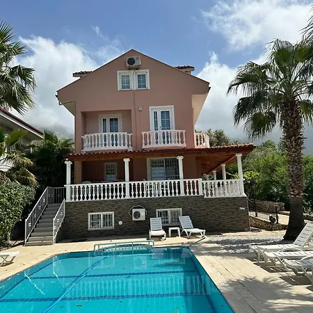 Alex Willa Fethiye